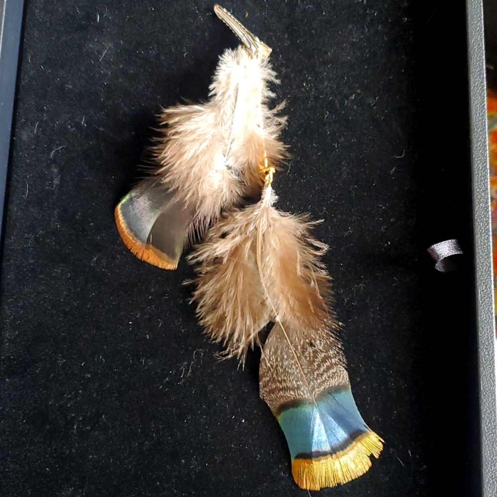 Teenagers feather hair clip.